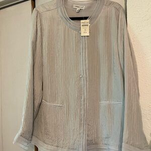 Coldwater Creek Soft Silver Blouse